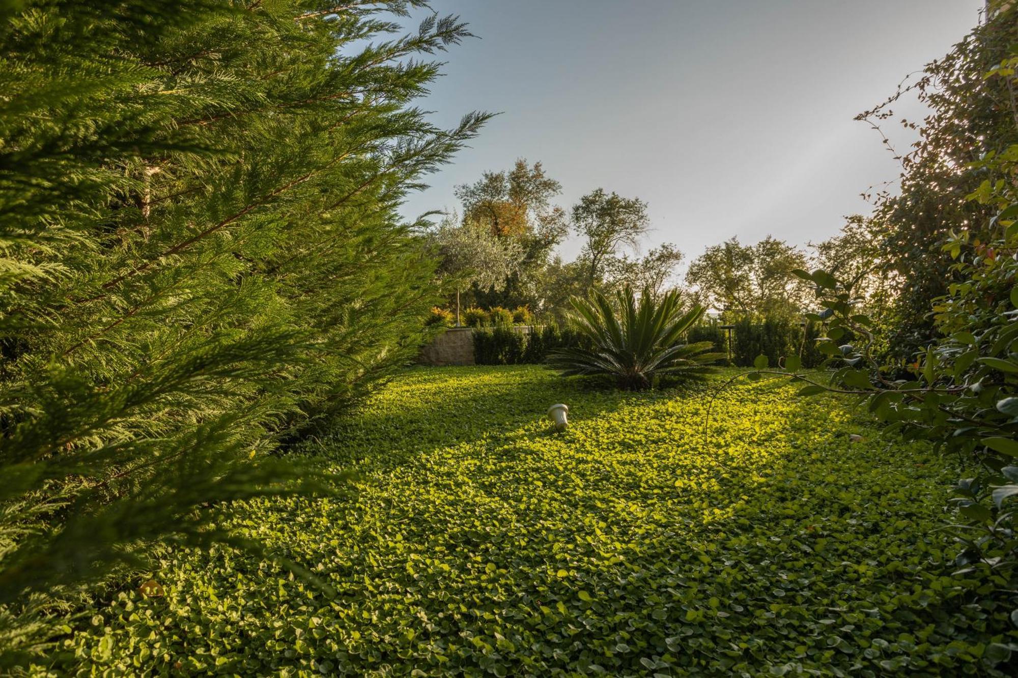 קוטור Panorama Bay Luxury Apartments מראה חיצוני תמונה